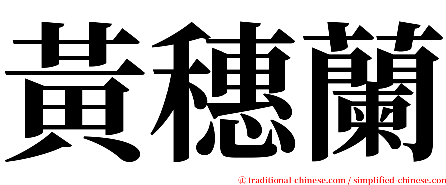 黃穗蘭 serif font