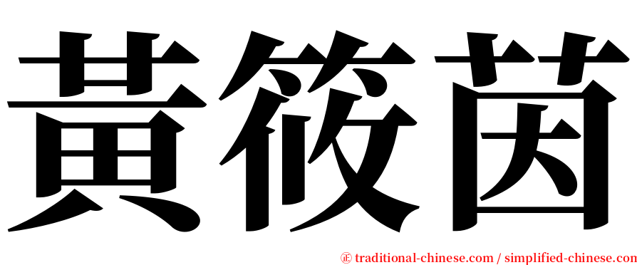 黃筱茵 serif font