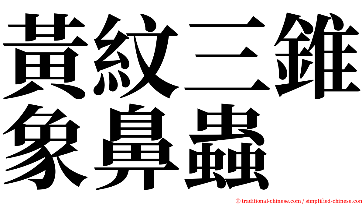 黃紋三錐象鼻蟲 serif font