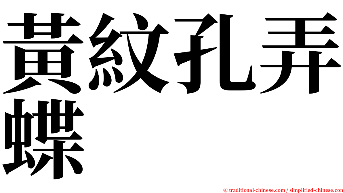 黃紋孔弄蝶 serif font