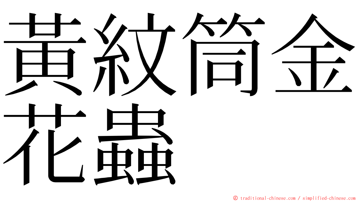 黃紋筒金花蟲 ming font