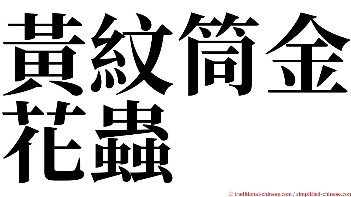 黃紋筒金花蟲 serif font