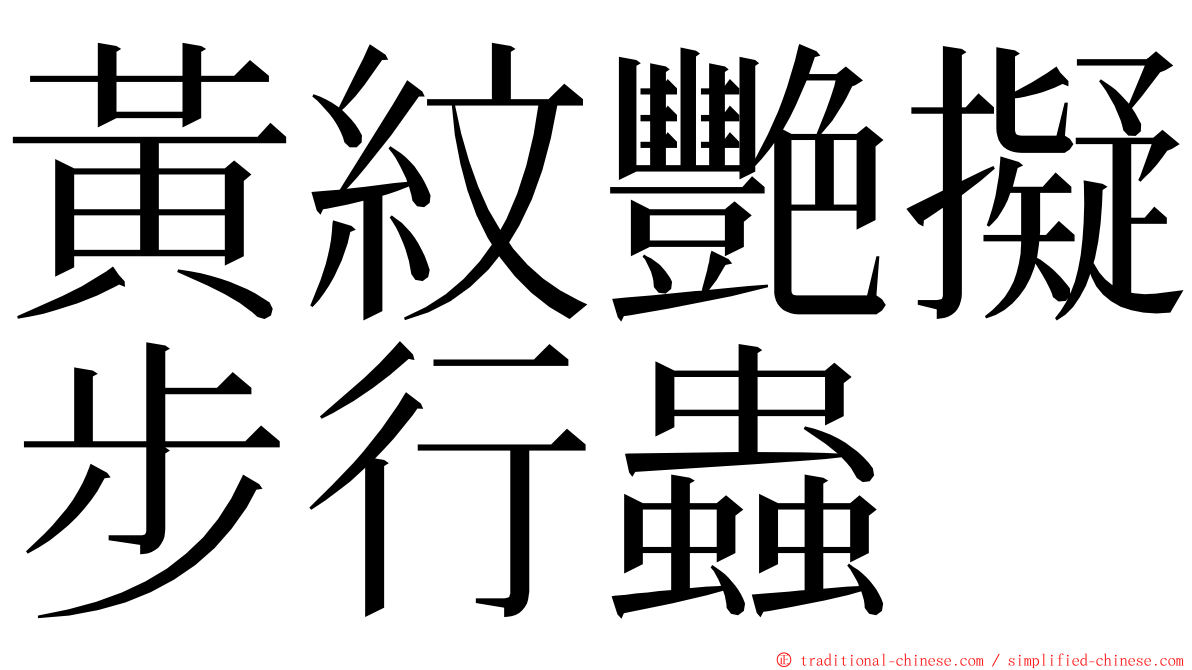 黃紋艷擬步行蟲 ming font