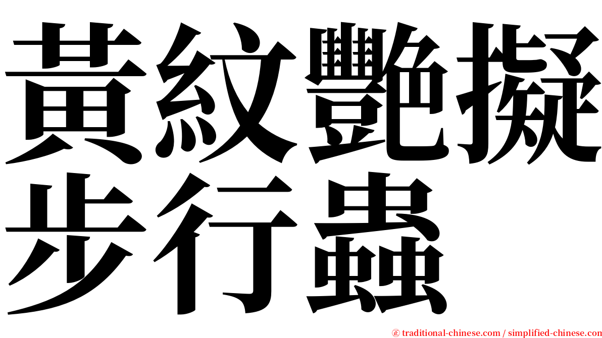 黃紋艷擬步行蟲 serif font