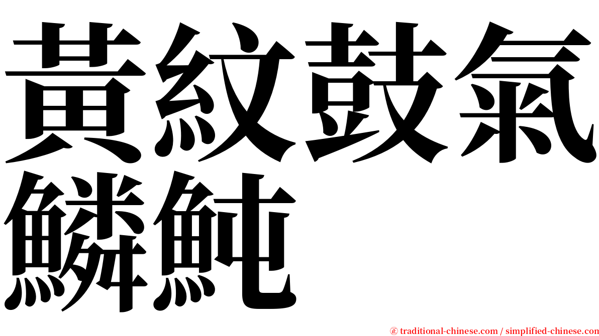 黃紋鼓氣鱗魨 serif font