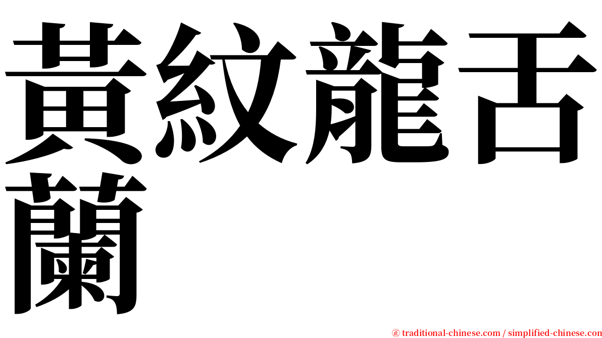 黃紋龍舌蘭 serif font