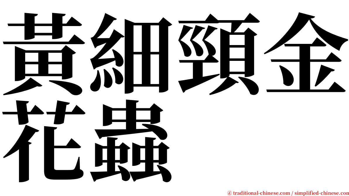 黃細頸金花蟲 serif font