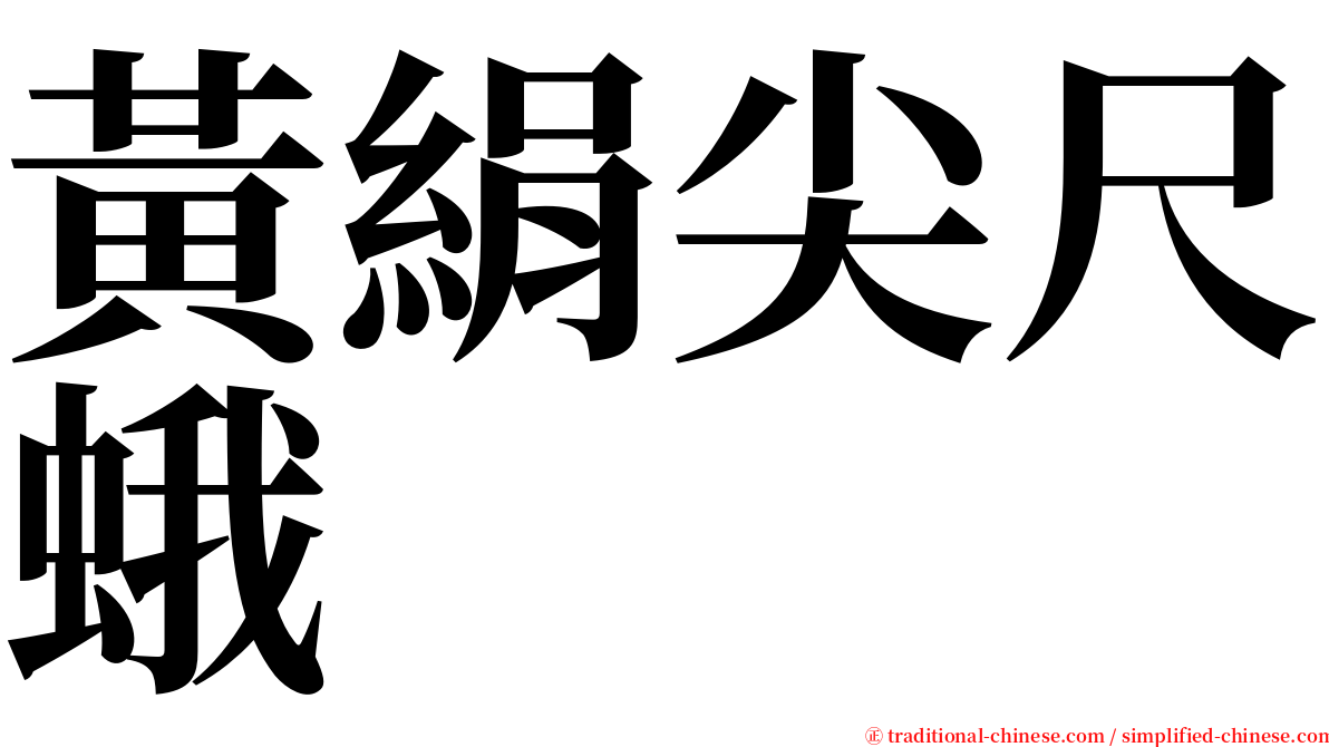 黃絹尖尺蛾 serif font