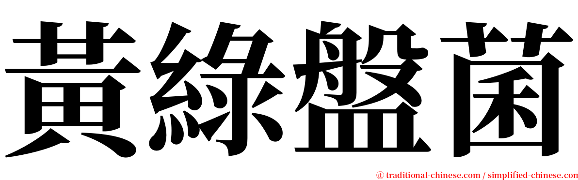 黃綠盤菌 serif font