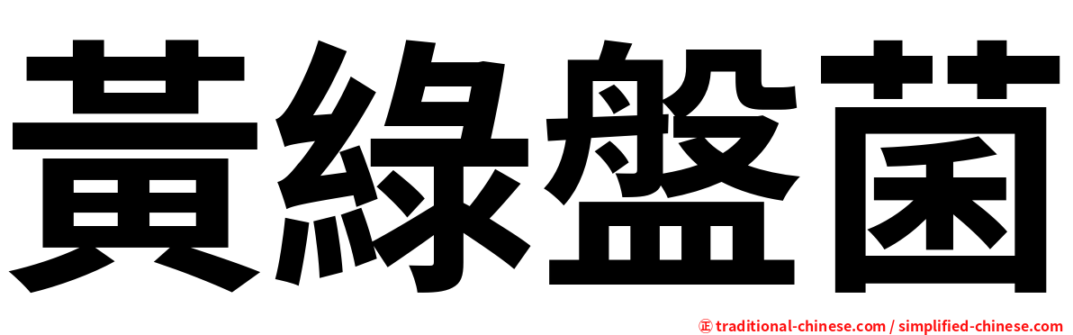 黃綠盤菌