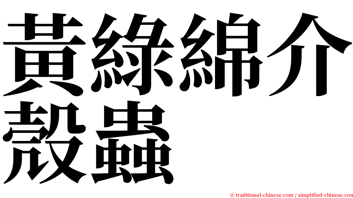 黃綠綿介殼蟲 serif font