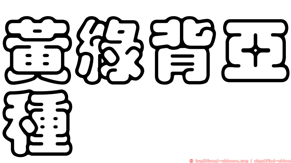 黃綠背亞種