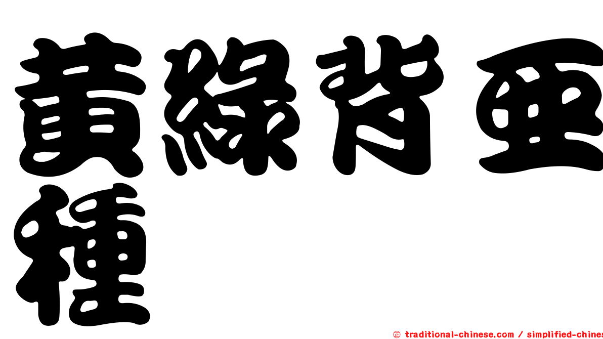 黃綠背亞種