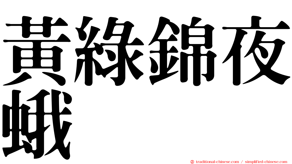 黃綠錦夜蛾