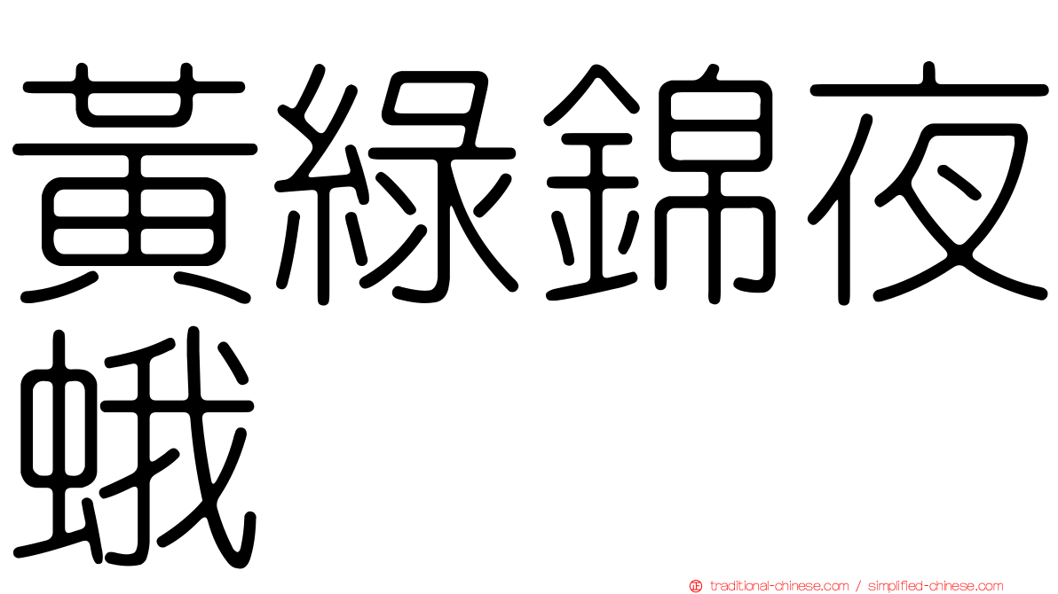 黃綠錦夜蛾