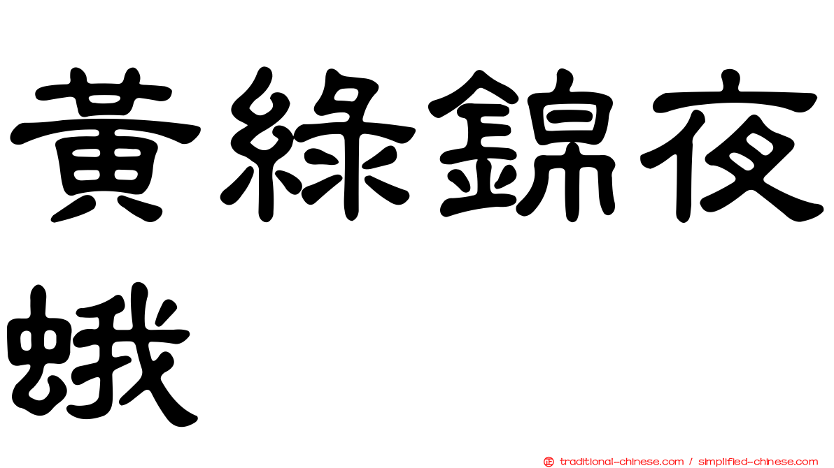 黃綠錦夜蛾
