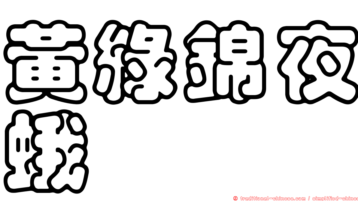黃綠錦夜蛾