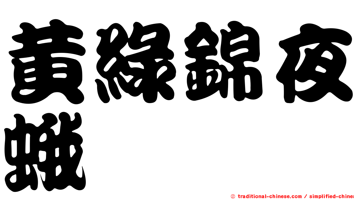 黃綠錦夜蛾