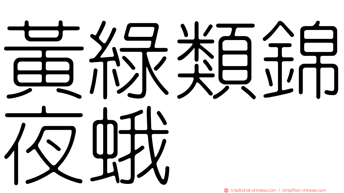 黃綠類錦夜蛾