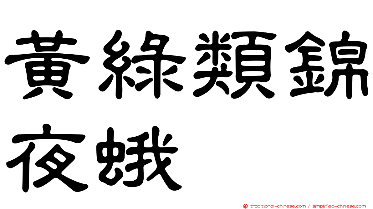 黃綠類錦夜蛾