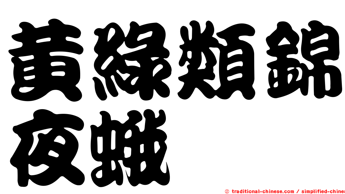 黃綠類錦夜蛾