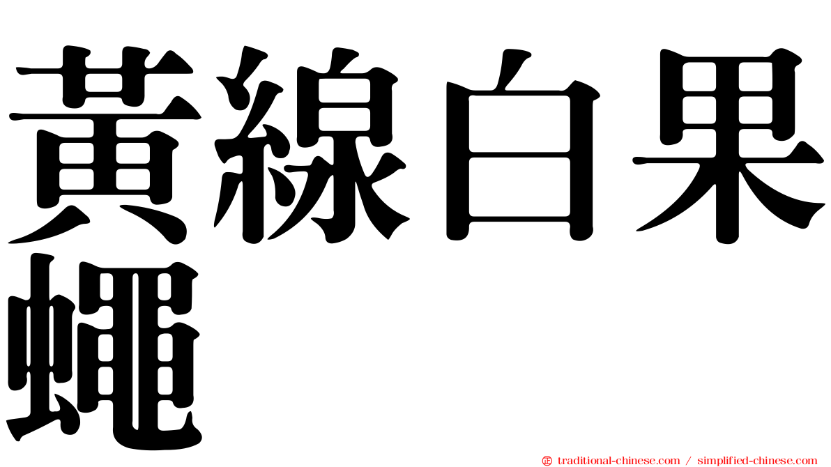 黃線白果蠅