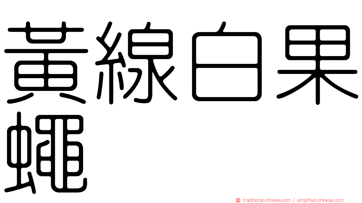 黃線白果蠅