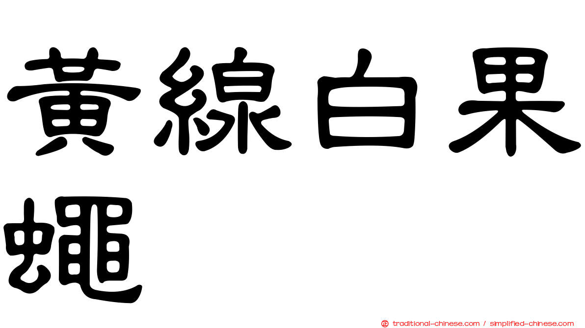 黃線白果蠅