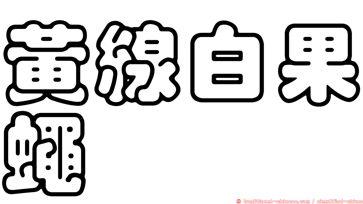 黃線白果蠅