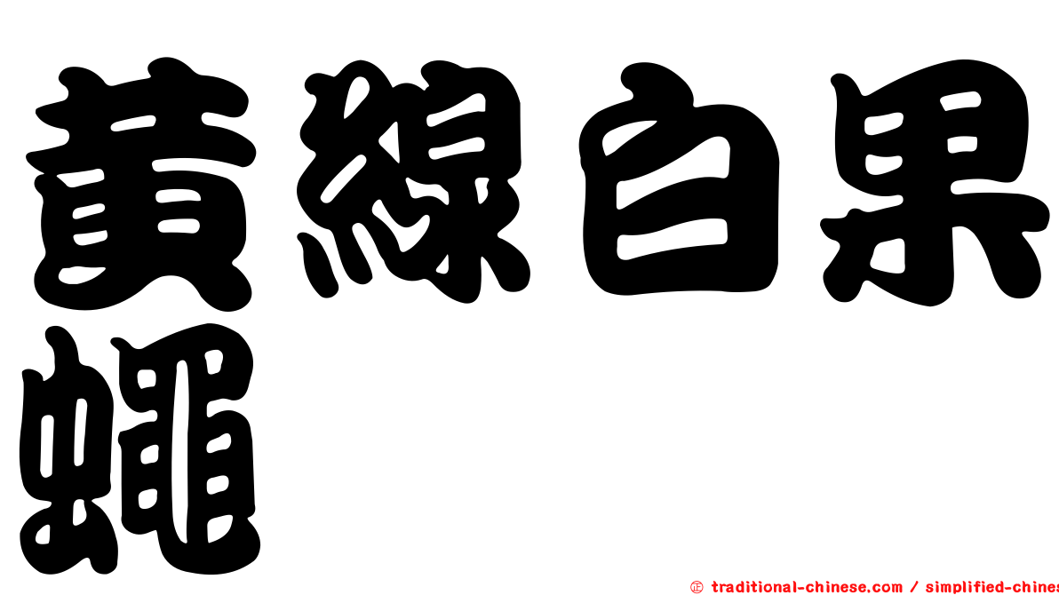 黃線白果蠅