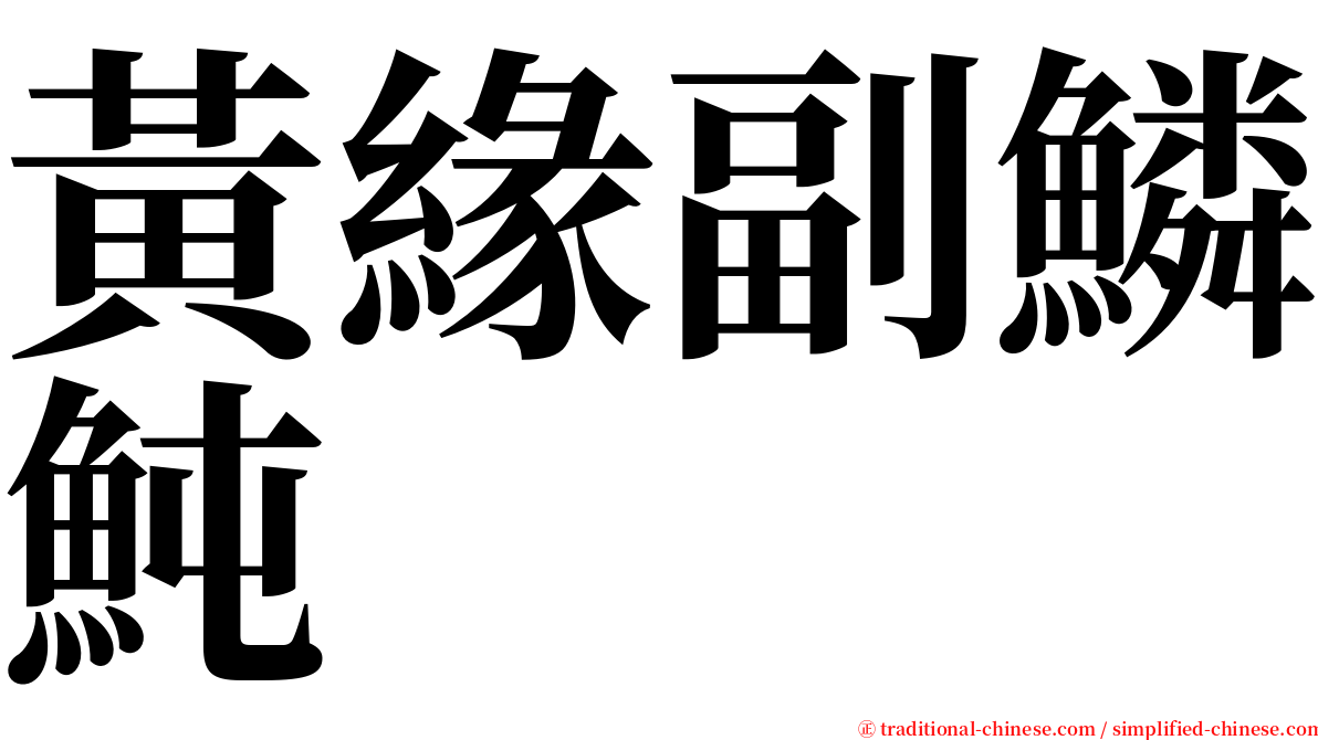 黃緣副鱗魨 serif font