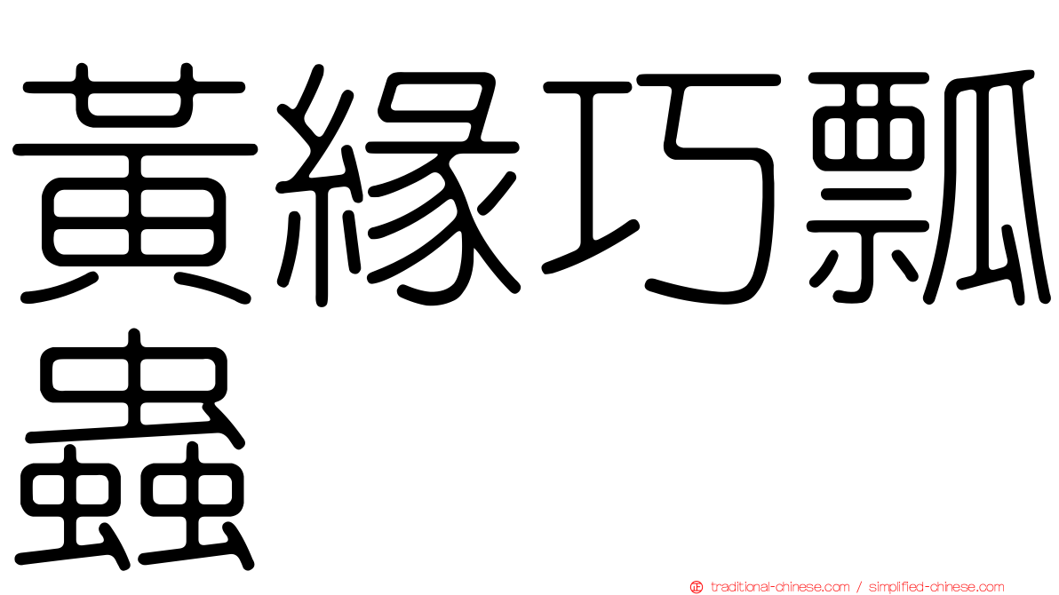 黃緣巧瓢蟲