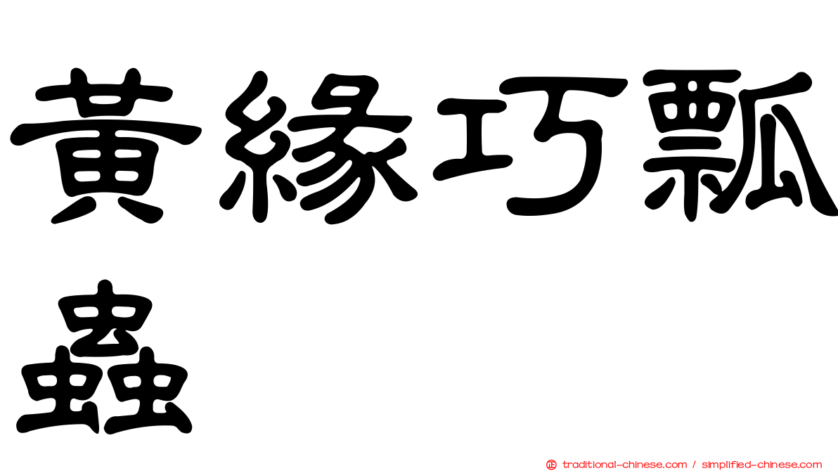 黃緣巧瓢蟲