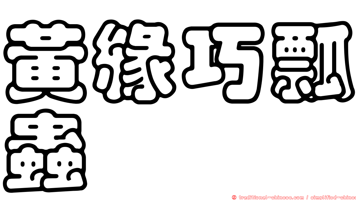 黃緣巧瓢蟲