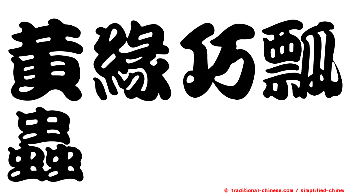 黃緣巧瓢蟲
