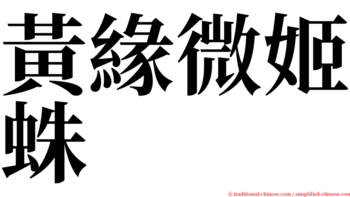 黃緣微姬蛛 serif font