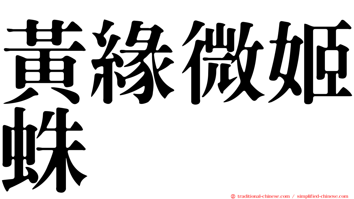 黃緣微姬蛛