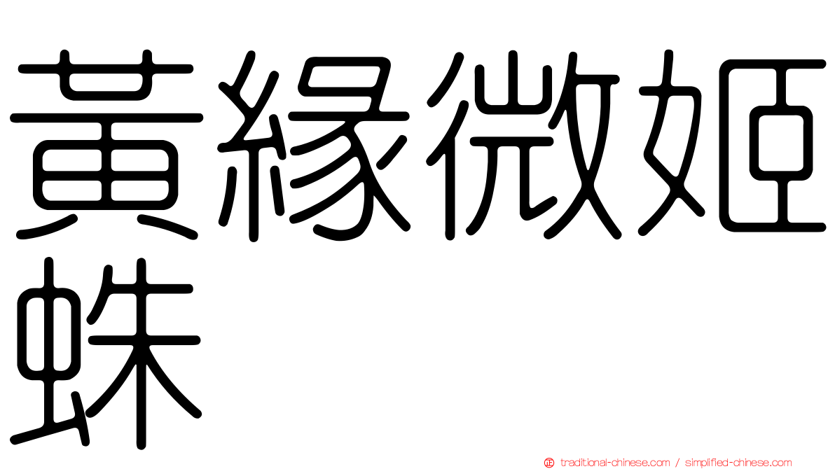 黃緣微姬蛛