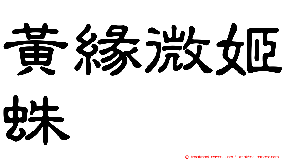 黃緣微姬蛛