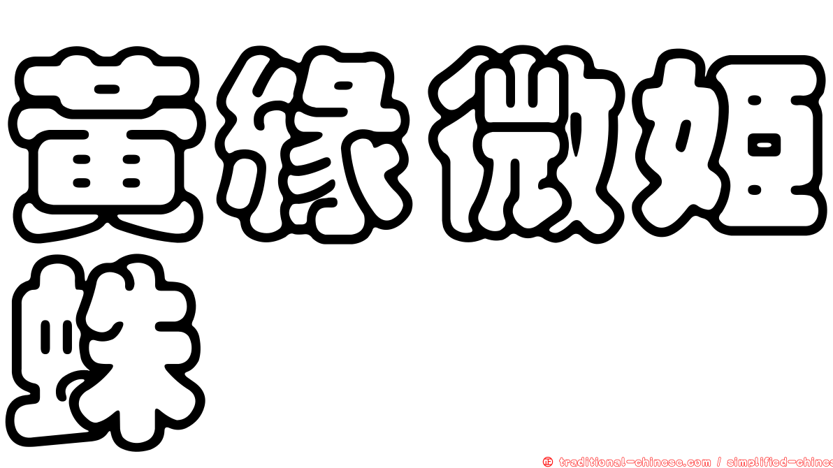 黃緣微姬蛛