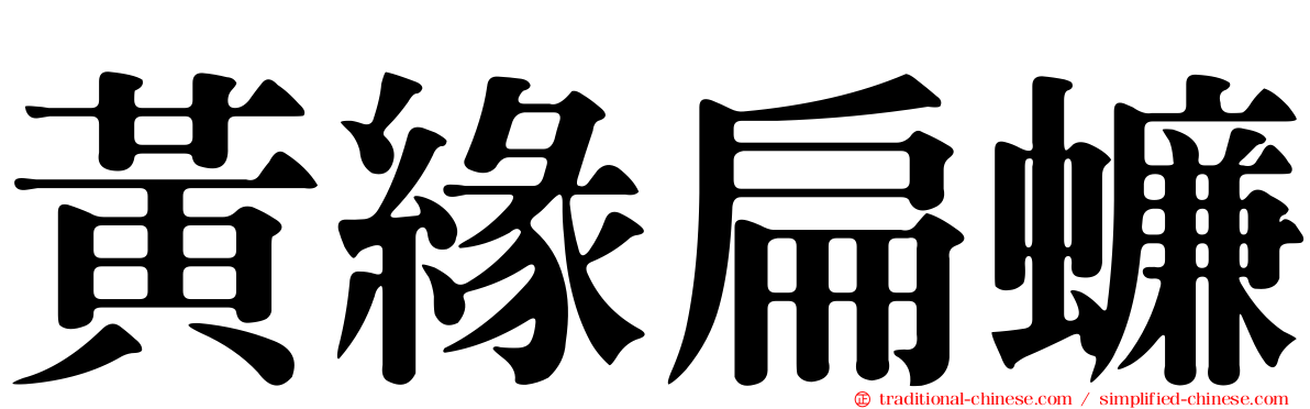 黃緣扁蠊