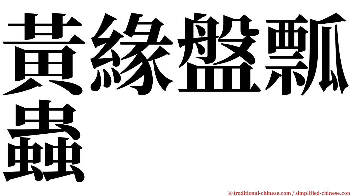黃緣盤瓢蟲 serif font