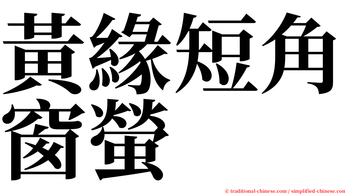 黃緣短角窗螢 serif font