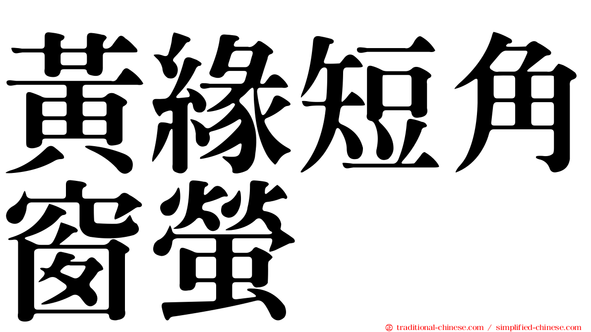 黃緣短角窗螢