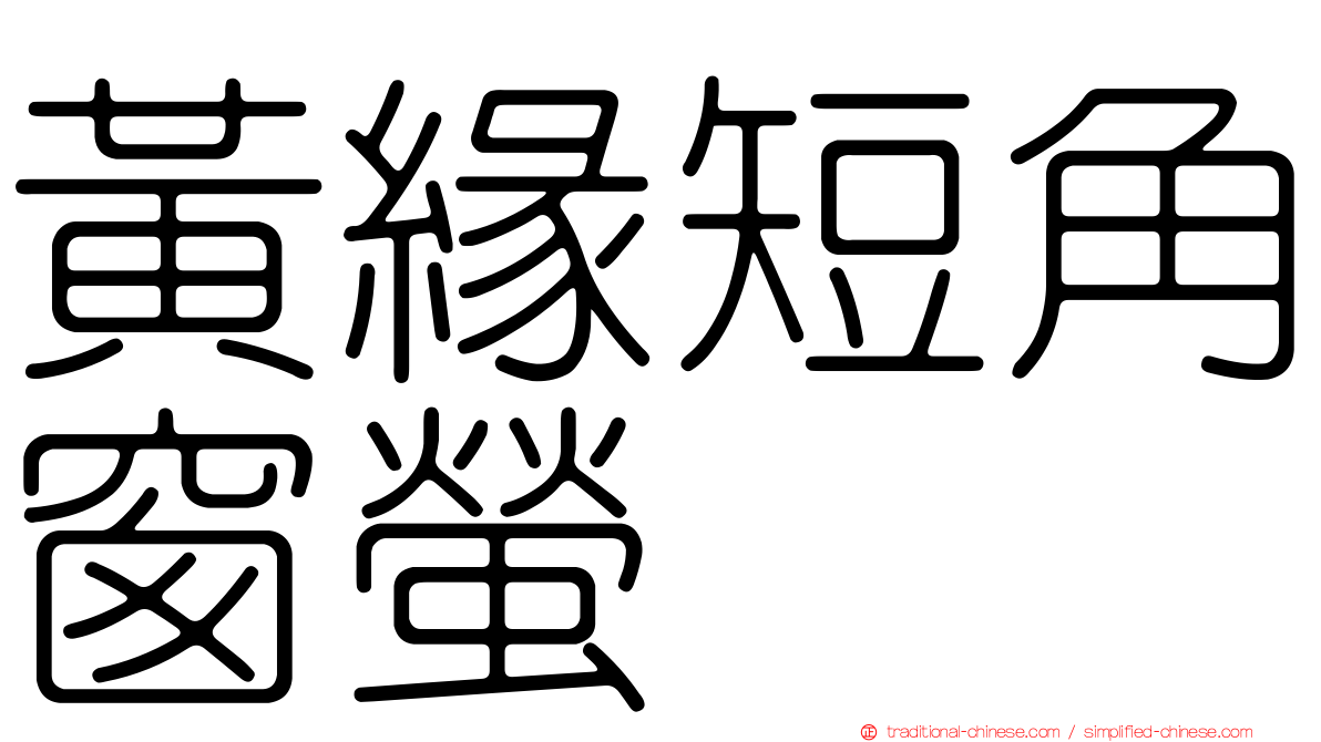 黃緣短角窗螢