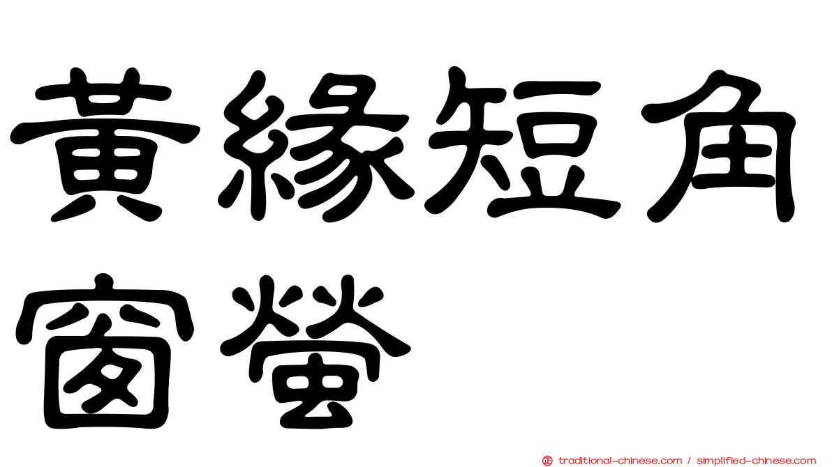 黃緣短角窗螢