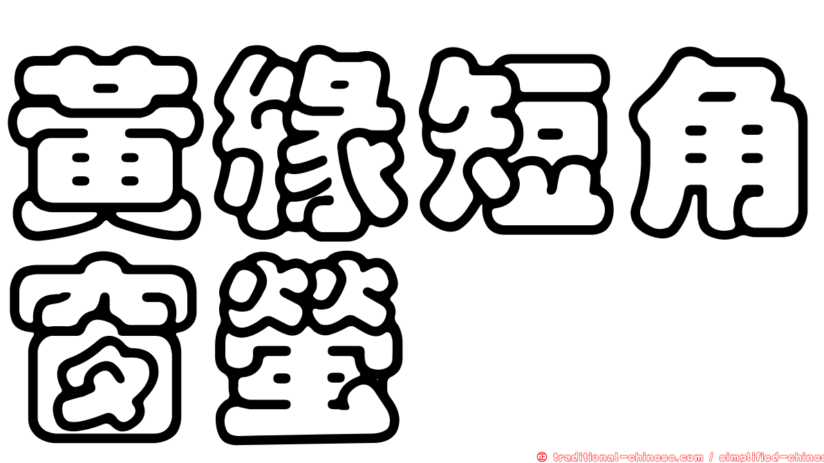 黃緣短角窗螢