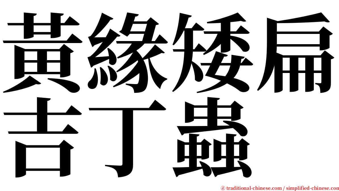 黃緣矮扁吉丁蟲 serif font