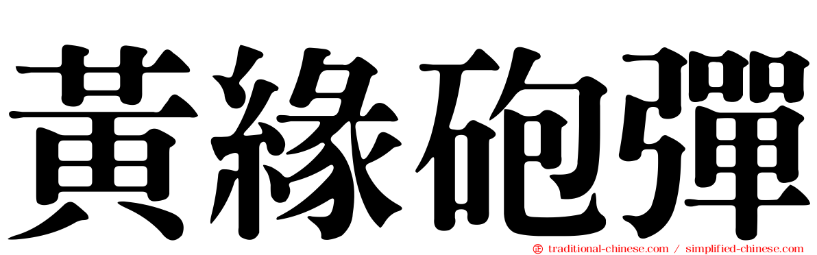 黃緣砲彈