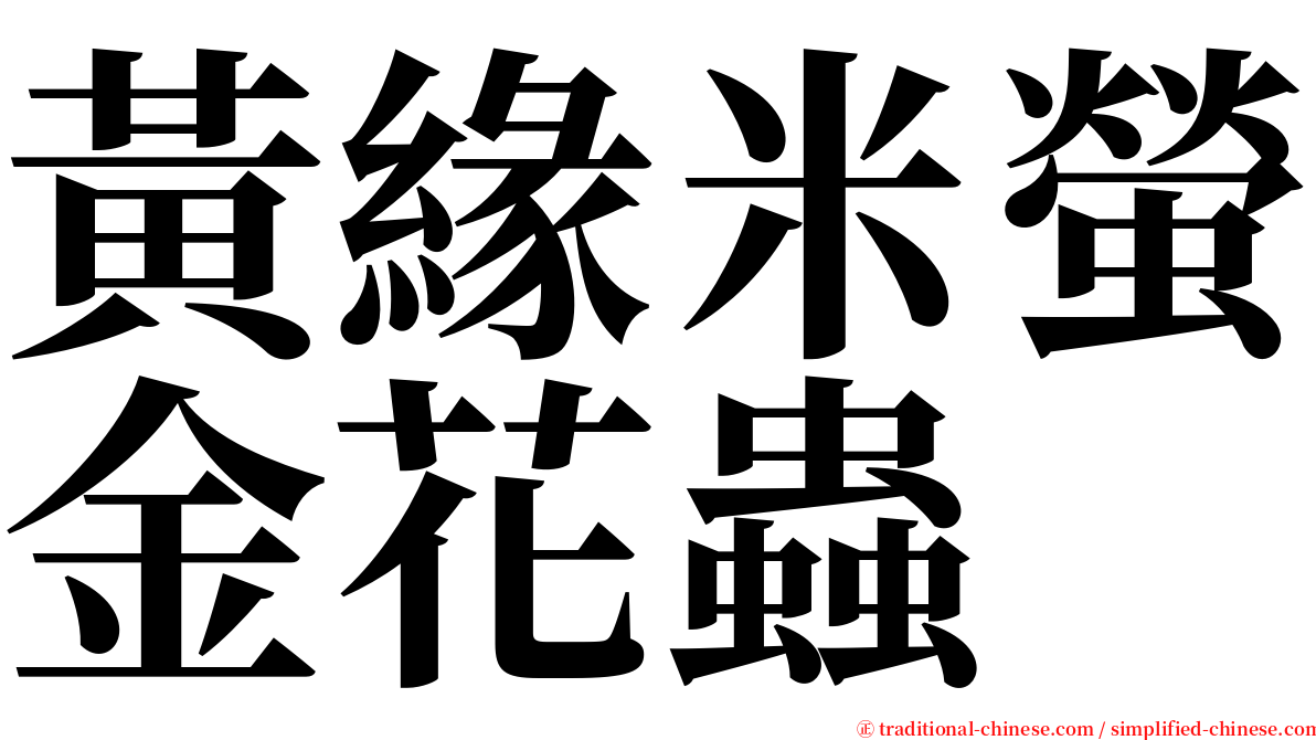 黃緣米螢金花蟲 serif font
